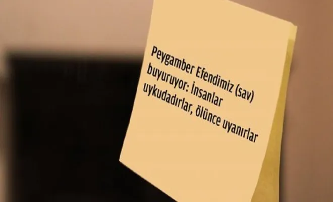 İçimizdeki yılan