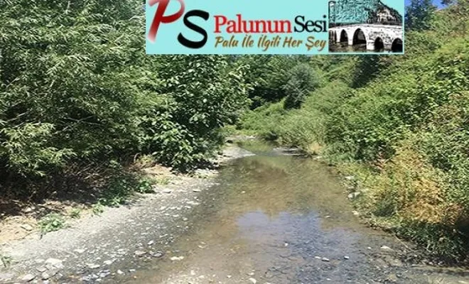 Palu Akbulut(Züver)koyu
