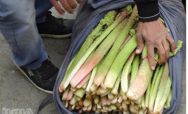 Yayla muzu (Işkın) fiyatıyla cep yakıyor