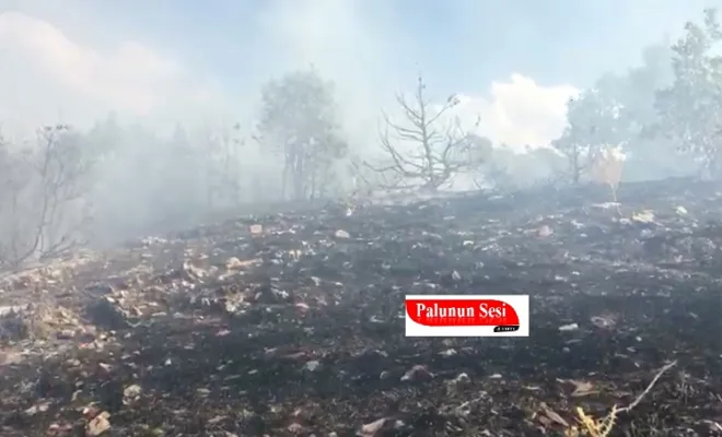 Palu`da Orman Yangını Devam Ediyor
