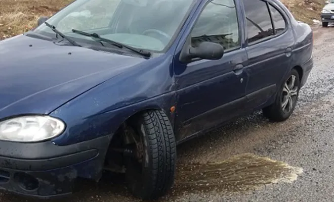 Köpeğe Vurmamak İçin Yoldan Çıktı