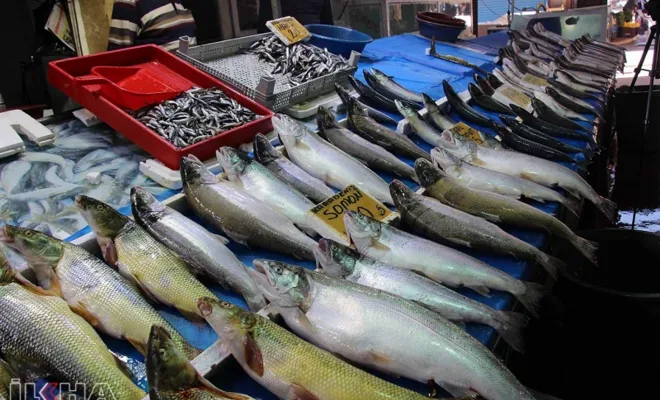 Yasağın sona ermesiyle balık tezgahlarındaki çeşitlilik arttı 