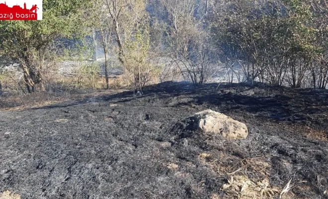 GÜMÜŞKAVAK MAHALLESİNDE KORKUTAN YANGIN