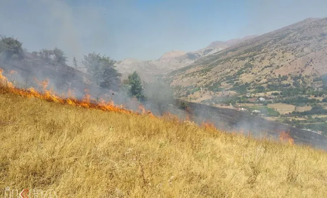Palu`da Yangın: 100 dekar alan yandı 