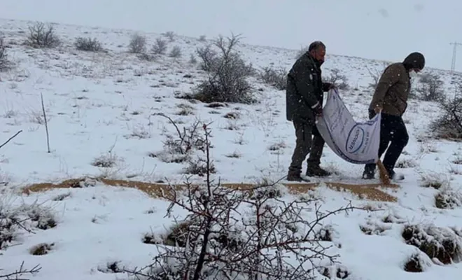 Elâzığ'da yaban hayvanları için dağlara yem bırakıldı