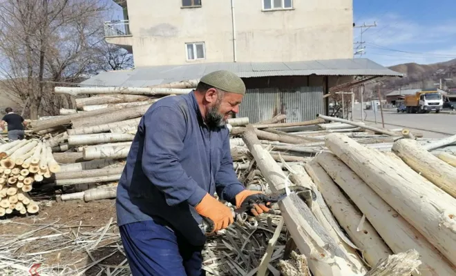 Kavak ağacı kabuklarını soyarak aile bütçelerine katkıda bulunuyorlar 