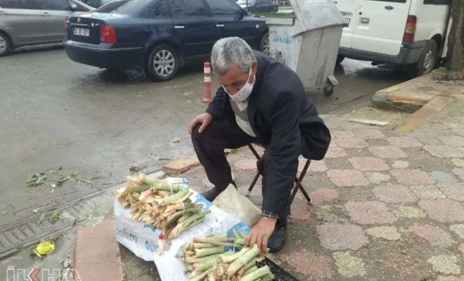 Kovancılar`da Yayla muzu UÇKUN tezgahlardaki yerini aldı 