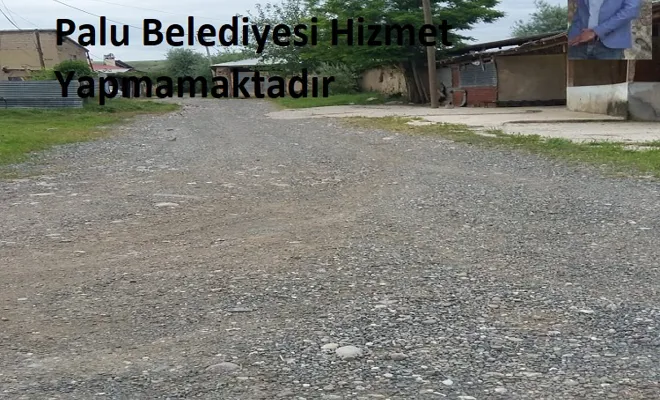 Yukarı Palu Mahalle Muhtarı: Palu Belediyesi Hizmet Yapmamaktadır