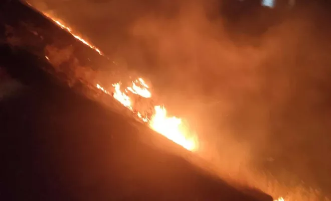 Bingöl’de orman yangını  