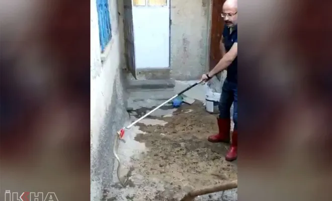 Eve giren yılanı Kovancılar itfaiye ekipleri çıkardı
