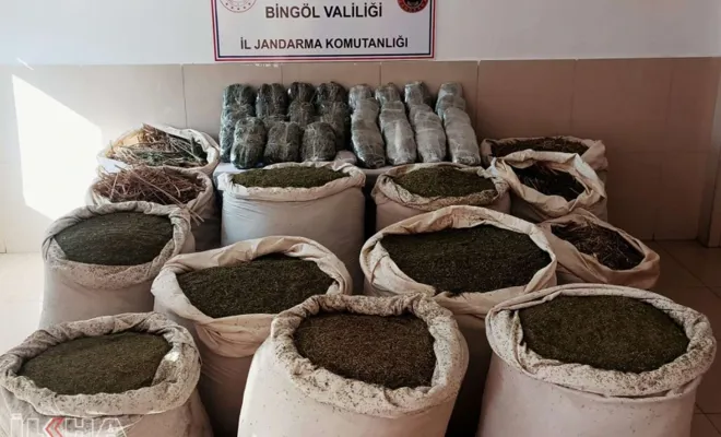 Bingöl'de 591 kilo esrar ve 252 bin kök keneviri ele geçirildi