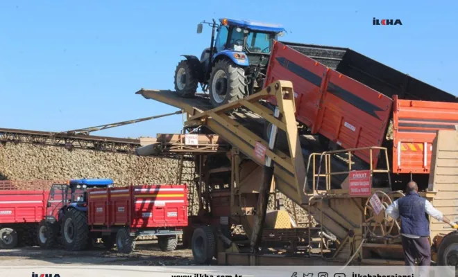 Kovancılar`da Şekerpancarı üreticisi maliyetlerden şikayetçi 
