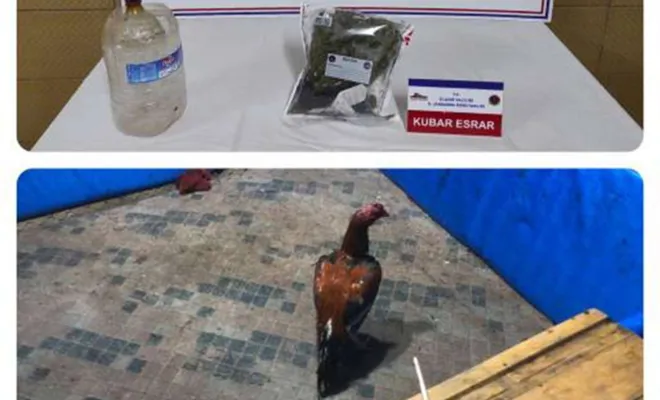 Elazığ’da horoz dövüşü operasyonu: 17 kişi yakalandı 