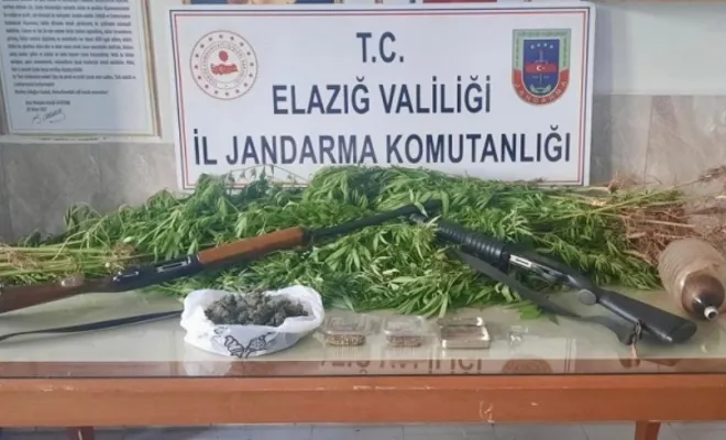 Palu'da 354 Kök Kenevir Ele Geçirildi, 1 tutuklama